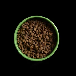 Yora Insect Protein Small Breed Dry Dog Food Outlet